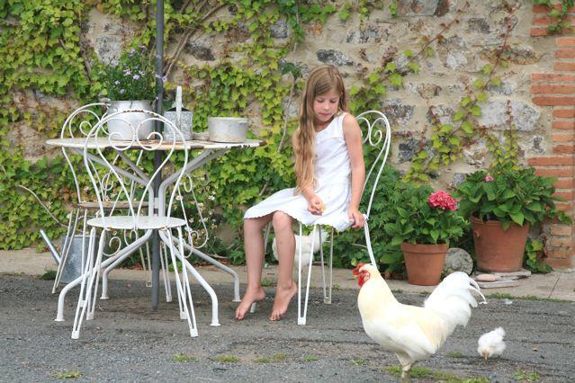 Gites De L'Etang Des Noues ショレ エクステリア 写真